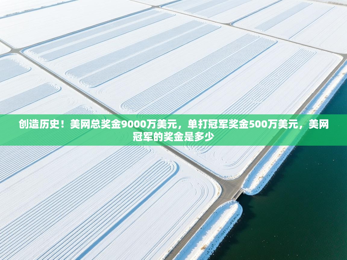 乐动体育平台-创造历史！美网总奖金9000万美元，单打冠军奖金500万美元，美网冠军的奖金是多少