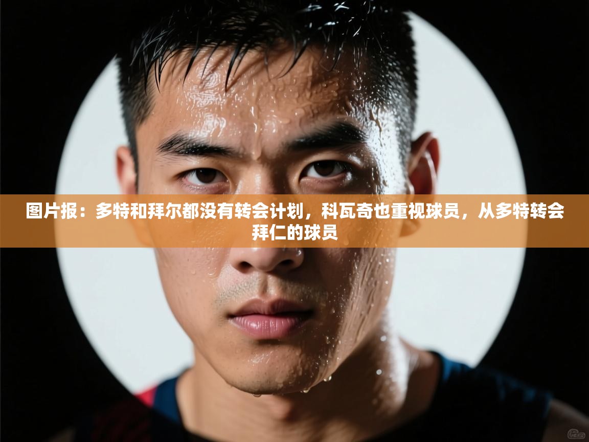 乐动体育官网登录平台-图片报：多特和拜尔都没有转会计划，科瓦奇也重视球员，从多特转会拜仁的球员