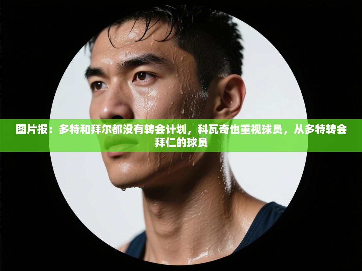 乐动体育官网登录平台-图片报：多特和拜尔都没有转会计划，科瓦奇也重视球员，从多特转会拜仁的球员