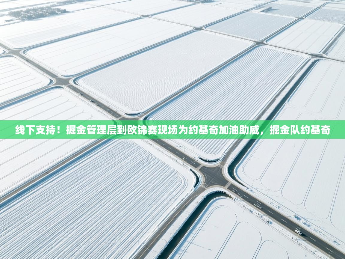 乐动体育app入口ld体育官方入口-线下支持！掘金管理层到欧锦赛现场为约基奇加油助威，掘金队约基奇