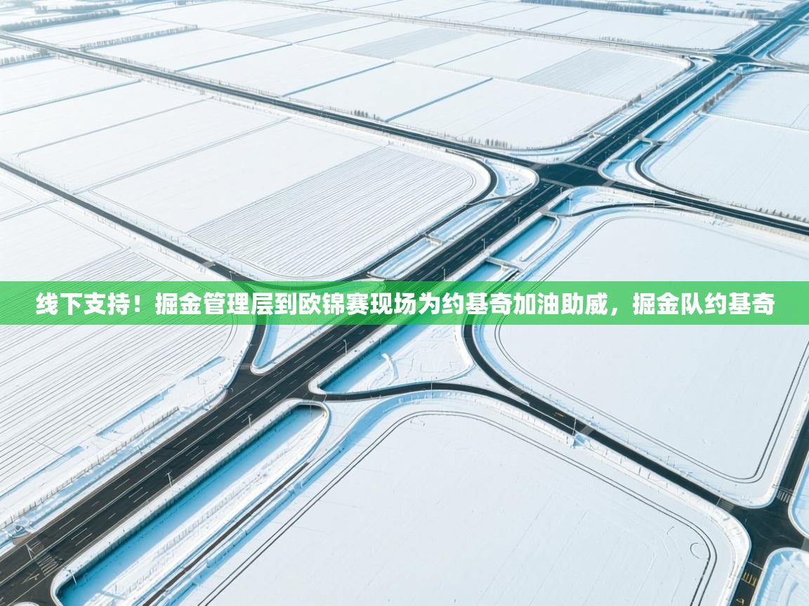 乐动体育app入口ld体育官方入口-线下支持！掘金管理层到欧锦赛现场为约基奇加油助威，掘金队约基奇