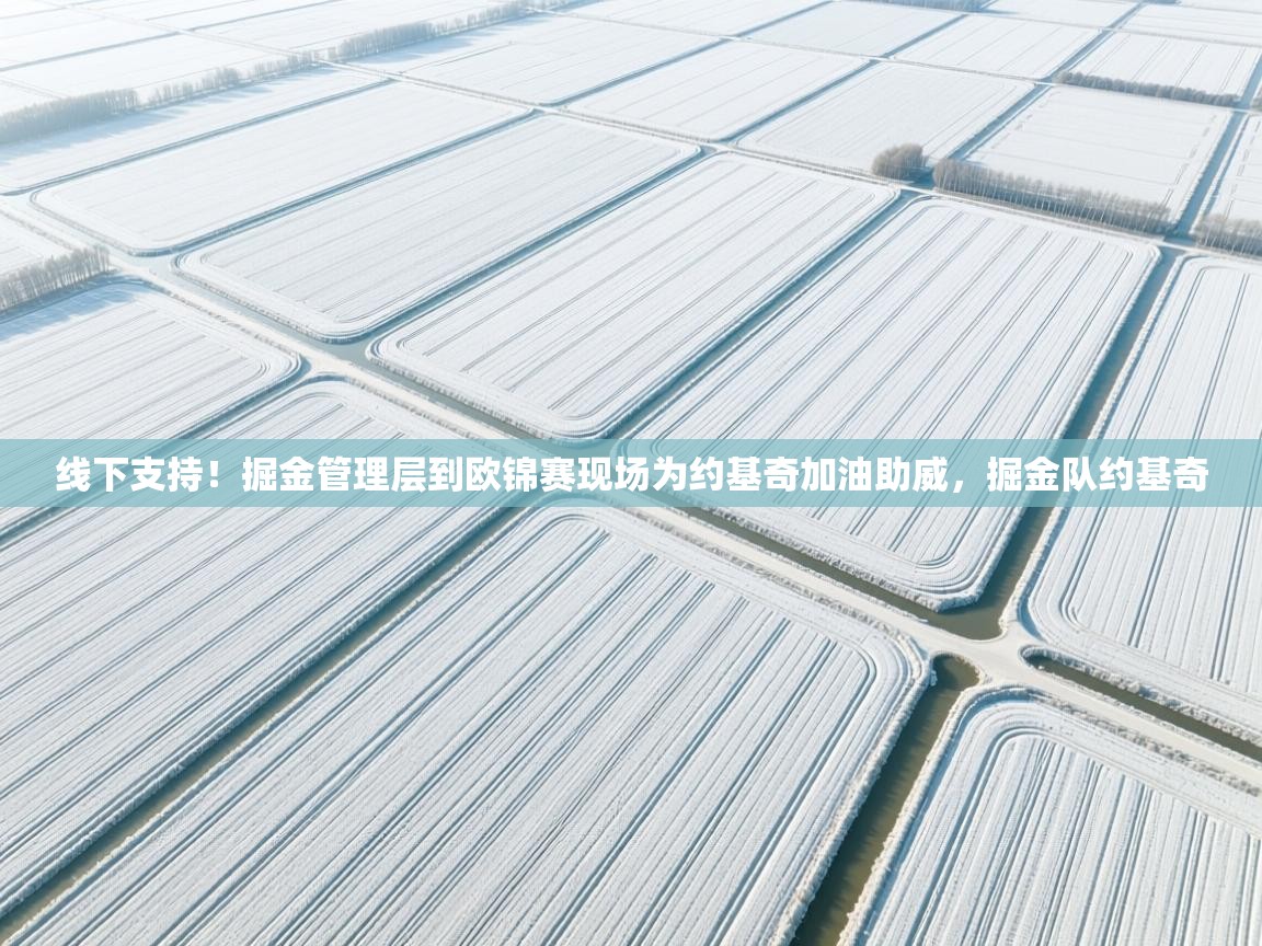 乐动体育app入口ld体育官方入口-线下支持！掘金管理层到欧锦赛现场为约基奇加油助威，掘金队约基奇