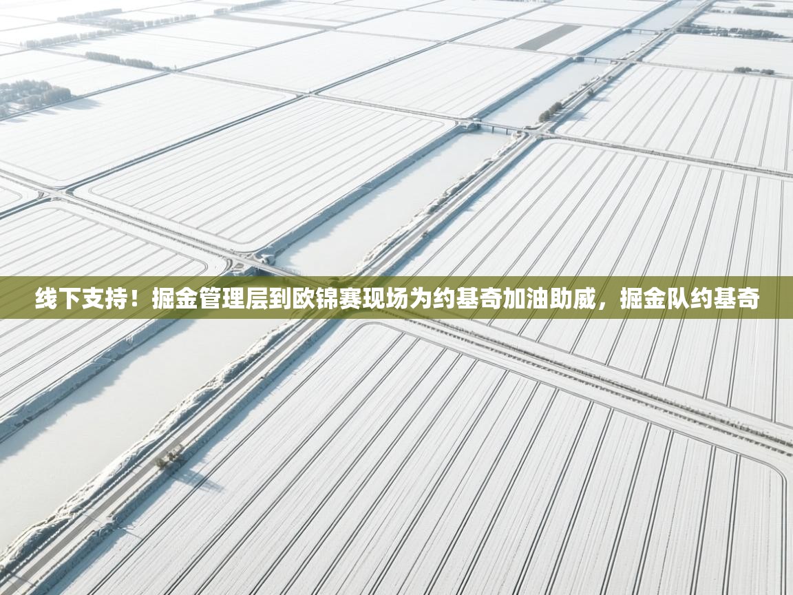 乐动体育app入口ld体育官方入口-线下支持！掘金管理层到欧锦赛现场为约基奇加油助威，掘金队约基奇