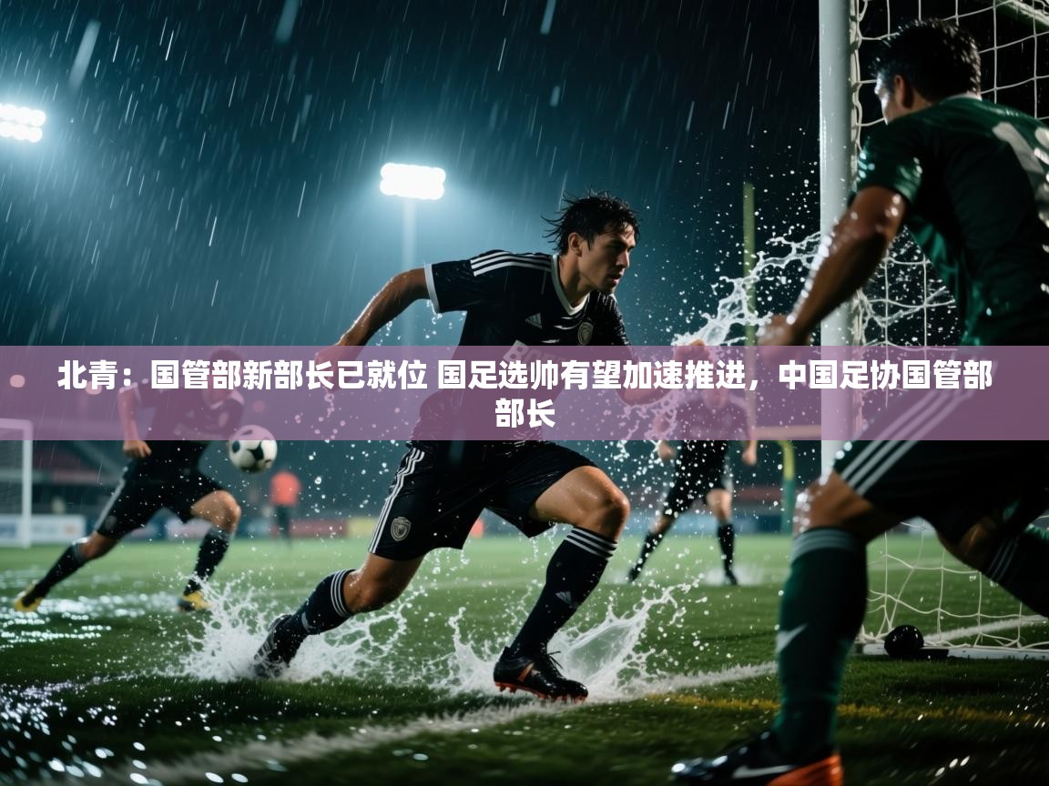 乐动体育赞助商-北青:国管部新部长已就位 国足选帅有望加速推进,中国足协国管部部长 第3张