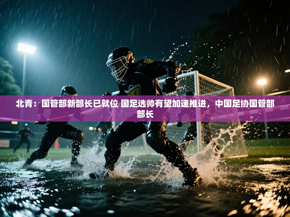 乐动体育赞助商-北青:国管部新部长已就位 国足选帅有望加速推进,中国足协国管部部长 第4张