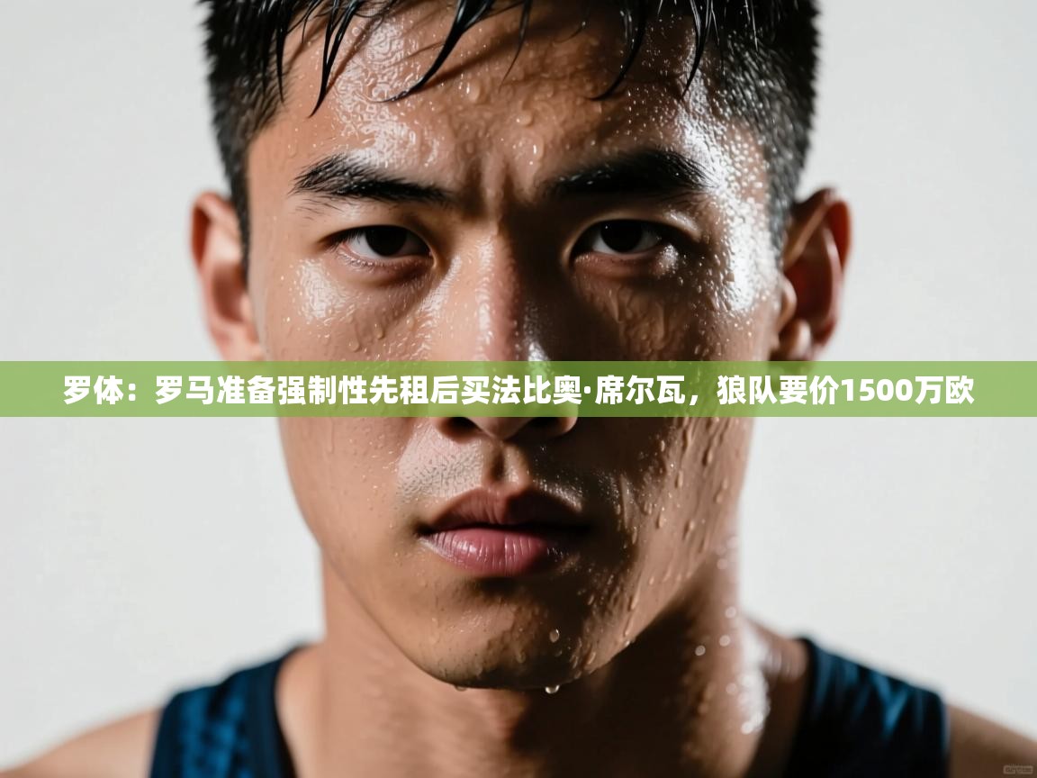 乐动体育官网登录平台-罗体：罗马准备强制性先租后买法比奥·席尔瓦，狼队要价1500万欧