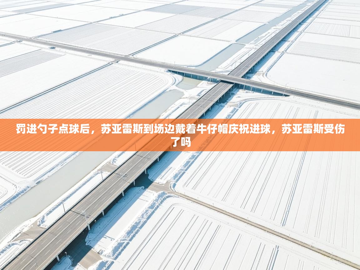 乐动体育app下载优惠-罚进勺子点球后，苏亚雷斯到场边戴着牛仔帽庆祝进球，苏亚雷斯受伤了吗