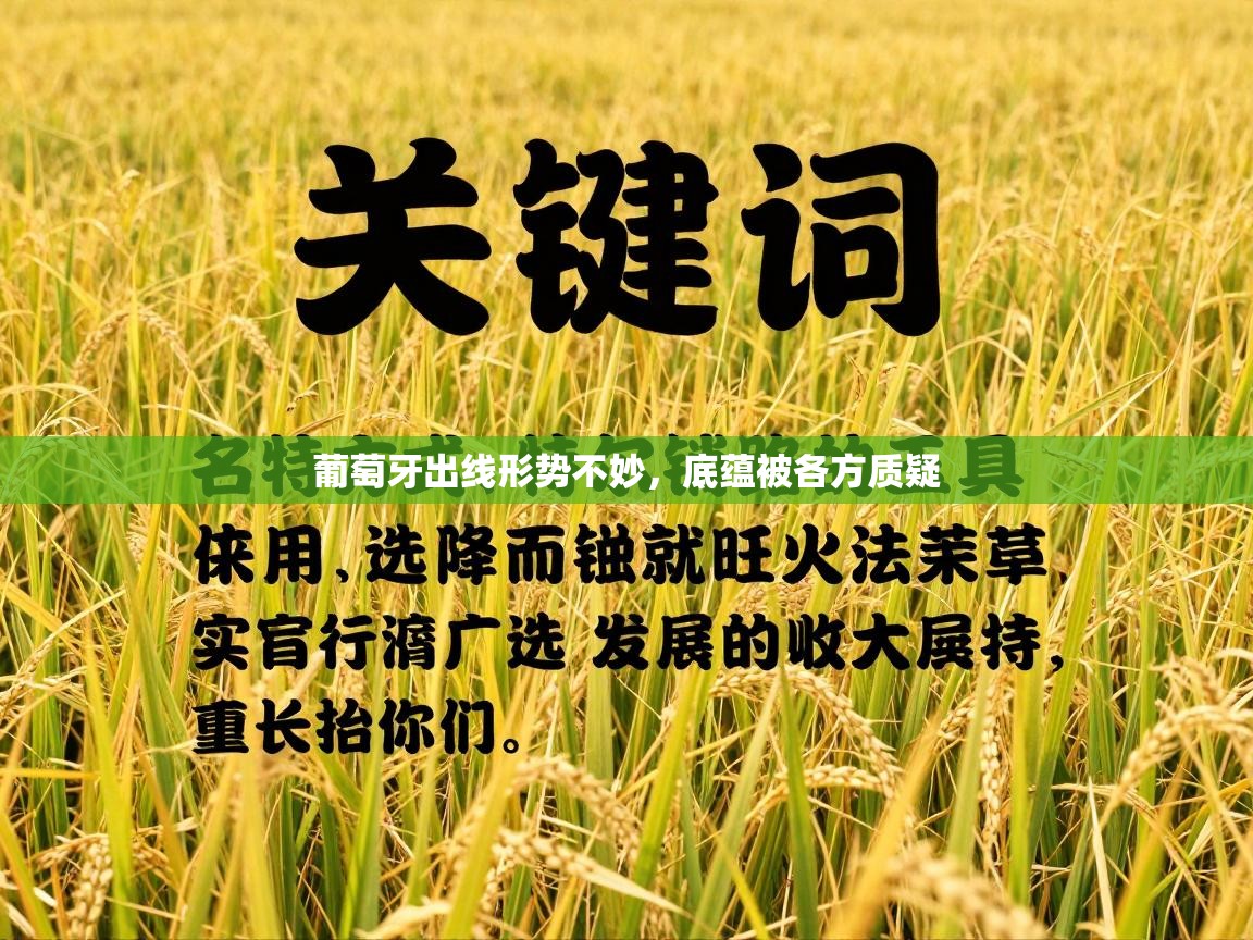 乐动体育app下载评价-葡萄牙出线形势不妙，底蕴被各方质疑