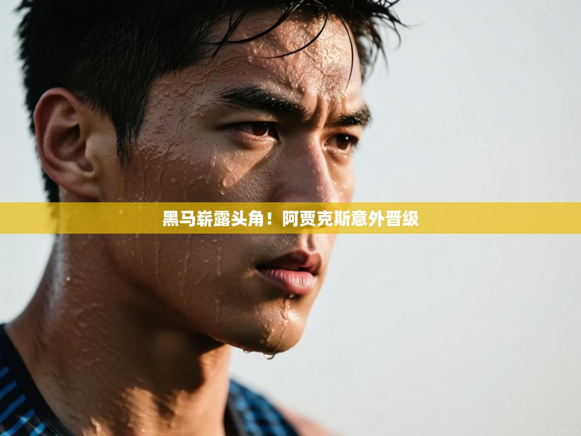 乐动体育注册-黑马崭露头角!阿贾克斯意外晋级