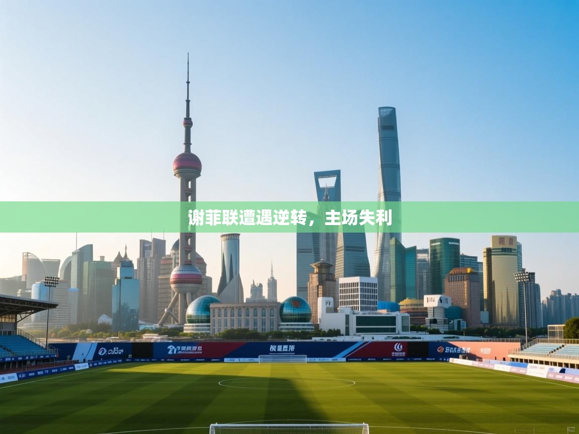 乐动体育官网-谢菲联遭遇逆转,主场失利