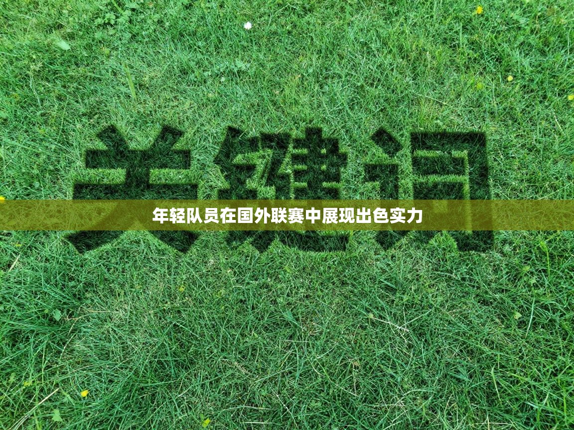 乐动体育官网登录平台-年轻队员在国外联赛中展现出色实力